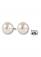 18 Karat White Gold Freshwater Pearl Stud Earrings