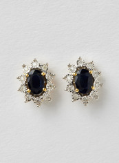 18 Karat Gold Sparkle Diana Sapphire Earrings