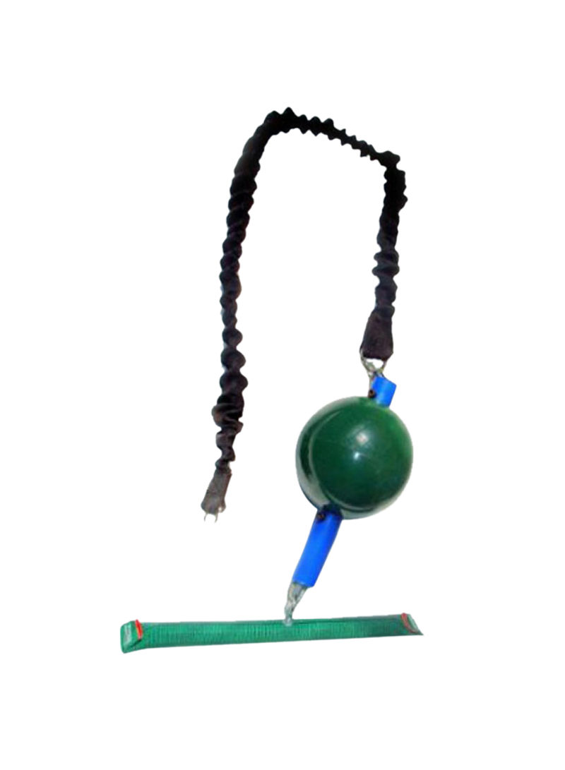 Bungie Ball With Swing And Rattle For Pets
