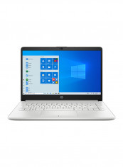 14-dk1025wm Laptop With 14-Inch Display, AMD Ryzen 3 3250U Processor/4GB RAM/1TB HDD/AMD Radeon Vega 3 Graphics/Windows 10 Home Natural Silver