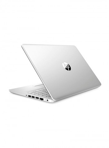 14-dk1025wm Laptop With 14-Inch Display, AMD Ryzen 3 3250U Processor/4GB RAM/1TB HDD/AMD Radeon Vega 3 Graphics/Windows 10 Home Natural Silver