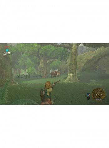 Switch Console Set With The Legend Of Zelda-Breath Of The World