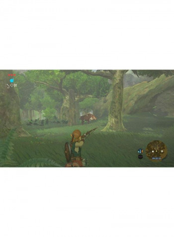 Switch Console Set With The Legend Of Zelda-Breath Of The World