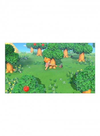 Switch - New Horizons Limited Edition Console With Download Code