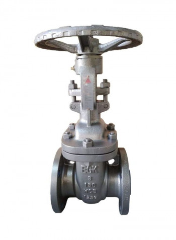 Classic Gate Flanged End Valve Silver/Blue 4inch