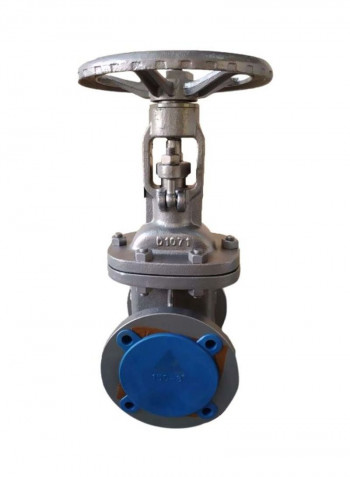 Classic Gate Flanged End Valve Silver/Blue 4inch