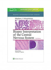Biopsy Interpretation Of The Central Nervous System Hardcover
