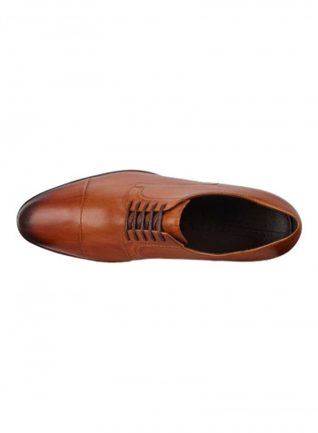 Vitrus Mondial Cap-Toe Derby Lace-Up Shoes Brown