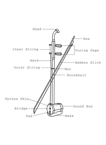 2-String Wooden Erhu With Accessories