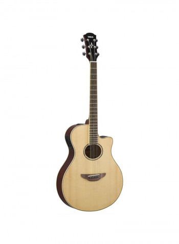 APX Series Acoustic Guitar