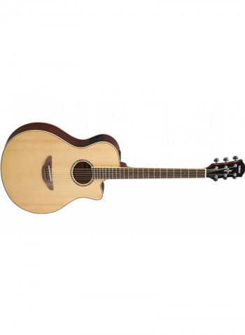 APX Series Acoustic Guitar