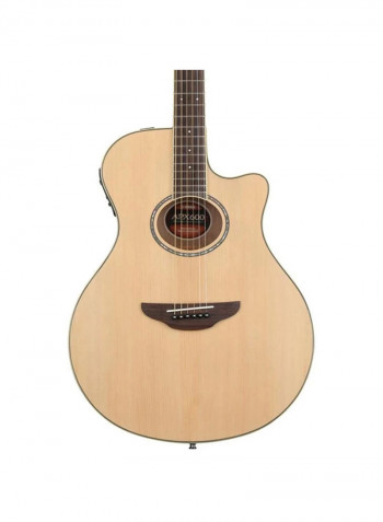 APX Series Acoustic Guitar