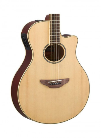 APX Series Acoustic Guitar