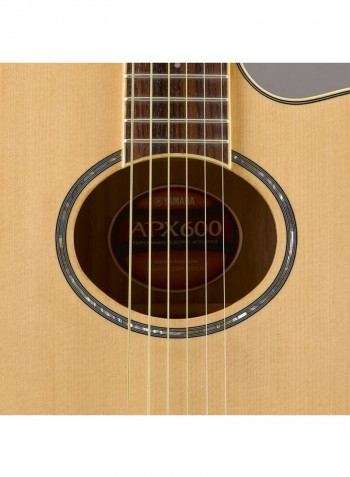 APX Series Acoustic Guitar