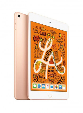 iPad Mini 2019 (5th Generation) With FaceTime 7.9inch, 64GB, Wi-Fi, Gold
