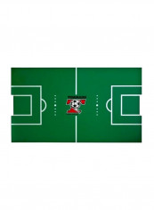 Foosball Play Field Tor-45