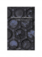 The Possibility Of Metaphysics : Substance, Identity, And Time Hardcover