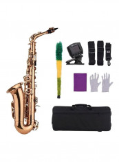 10-Piece Eb Alto Saxophone With Accessories And Case Set