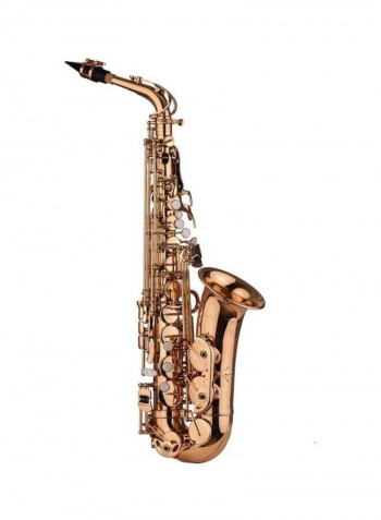 10-Piece Eb Alto Saxophone With Accessories And Case Set