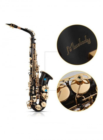 Alto Saxophone Woodwind Instrument With Padded Carry Case
