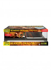 Bearded Dragon Starter Kit