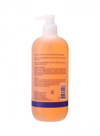 Purifying Hand And Body Wash 500ml