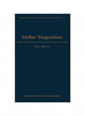 Stellar Magnetism Hardcover