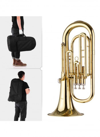 B Flat Baritone Instrument With Carry Case Set