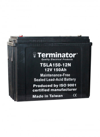 Sealed Lead-Acid Battery
