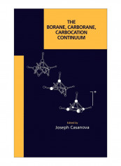 The Borane, Carborane, Carbocation Continuum Hardcover