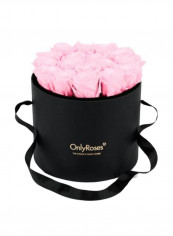 Infinite Rose Waldorf Pale Pink 27x25cm reviews Infinite Rose Waldorf Pale Pink 27x25cm