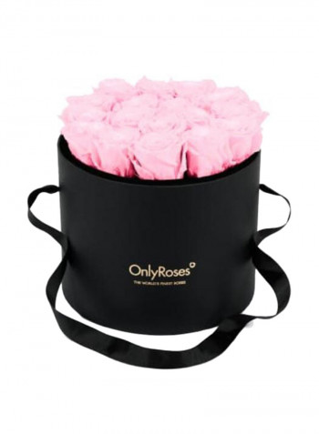 Infinite Rose Waldorf Pale Pink 27x25cm
