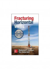 Fracturing Horizontal Wells Hardcover