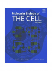 Molecular Biology Of The Cell Hardcover 6