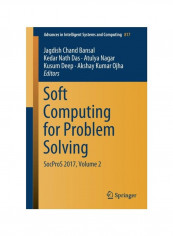 Soft Computing For Problem Solving Paperback