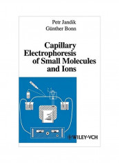Capillary Electrophoresis Of Small Molecules And Ions Hardcover