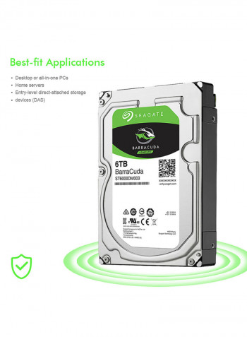 Barracuda Series Mechanical SATA Hard Drive 6TB Silver/Black