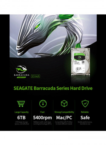 Barracuda Series Mechanical SATA Hard Drive 6TB Silver/Black