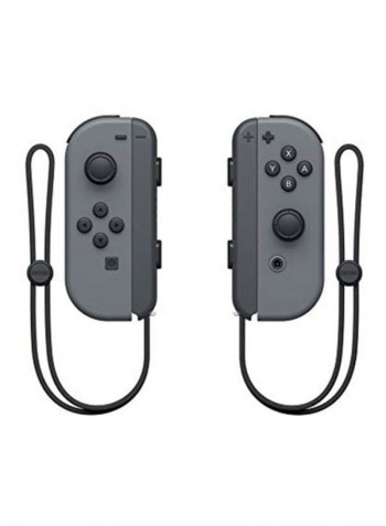 Switch Console (Extended Battery) - Grey