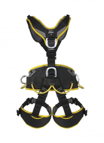 Expert 3D Harness with Speed Buckles