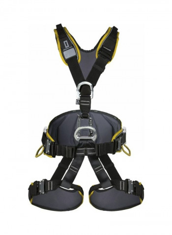 Expert 3D Harness with Speed Buckles