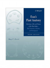 Esau's Plant Anatomy : Meristems, Cells, And Tissues Of The Plant Body: Their Structure, Function, And Development Hardcover