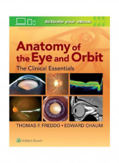 Anatomy Of The Eye And Orbit: The Clinical Essentials Hardcover