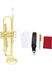 Trumpet Brass Exquisite with Cleaning Brush and Gloves