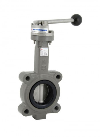 Ductile Iron Lug Type Butterfly Valve Grey/Black 8inch
