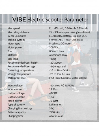 Unisex Electric Bluetooth Support Scooter With Digital Speedometer On Board