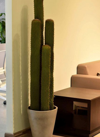 Artificial Cactus Plant With Stone Planter Green/Blue 175x25cm