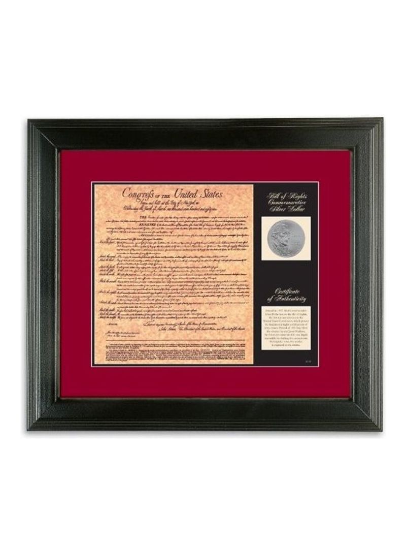 Birth Of A Nation Bill Of Rights 17X15X2inch