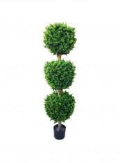 Hedyotis Triple Ball Tree Green/Black 5feet reviews Hedyotis Triple Ball Tree Green/Black 5feet