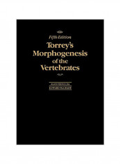 Torrey's Morphogenesis Of The Vertebrates Paperback